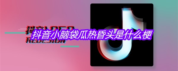 抖音小脑袋瓜热昏头是什么梗