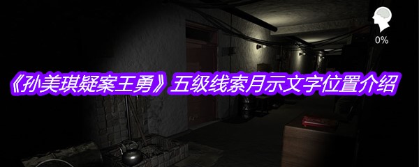 《孙美琪疑案王勇》五级线索月示文字位置介绍