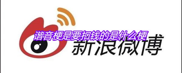 谐音梗是要扣钱的是什么梗