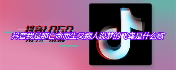 抖音我是那亡命而生又痴人说梦的飞鸟是什么歌