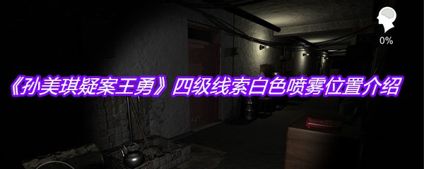 《孙美琪疑案王勇》四级线索白色喷雾位置介绍
