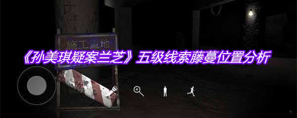《孙美琪疑案兰芝》五级线索藤蔓位置分析