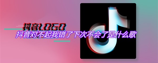 抖音对不起我错了下次不会了是什么歌