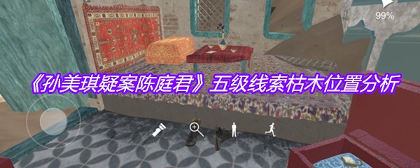 《孙美琪疑案陈庭君》五级线索枯木位置分析