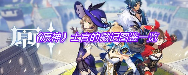 《原神》士官的徽记图鉴一览