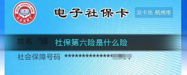 社保第六险是什么险