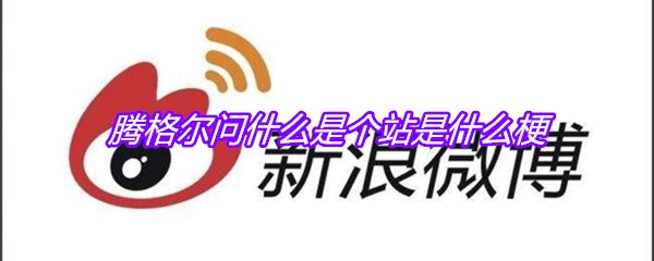腾格尔问什么是个站是什么梗