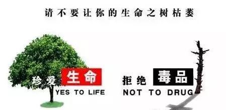 《青骄第二课堂》中职二期末考试答案