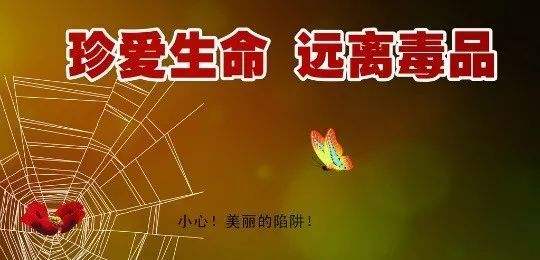 2020全国青少年禁毒知识竞赛高二答案