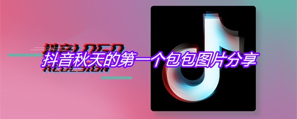 抖音秋天的第一个包包图片分享