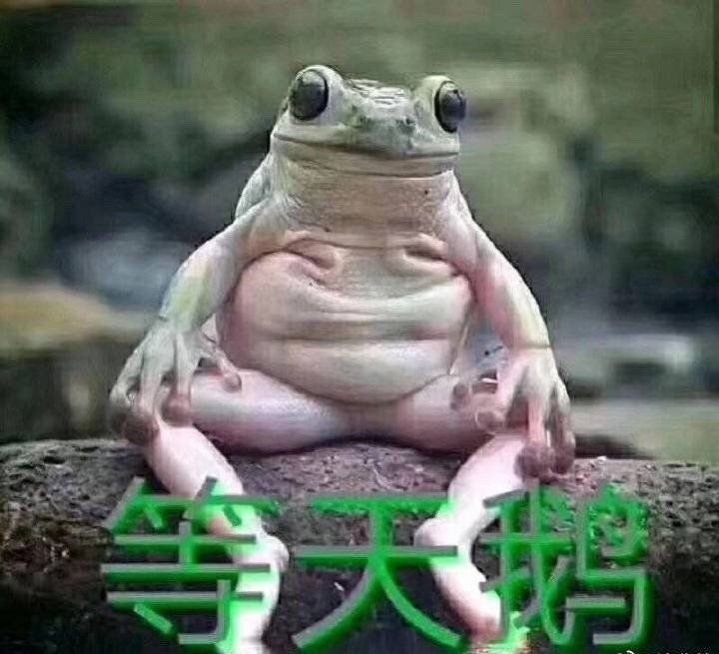 抖音癞蛤蟆小天鹅给个机会表情包