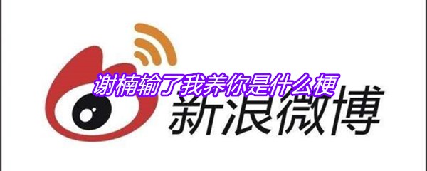 谢楠输了我养你是什么梗