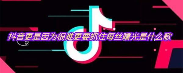抖音更是因为很难更要抓住每丝曙光是什么歌