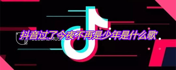抖音过了今夜不再是少年是什么歌