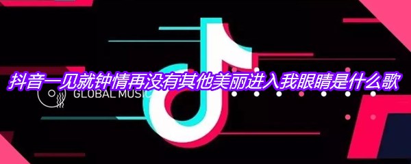 抖音一见就钟情再没有其他美丽进入我眼睛是什么歌