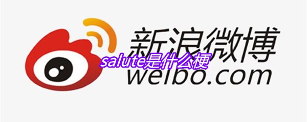 salute是什么梗