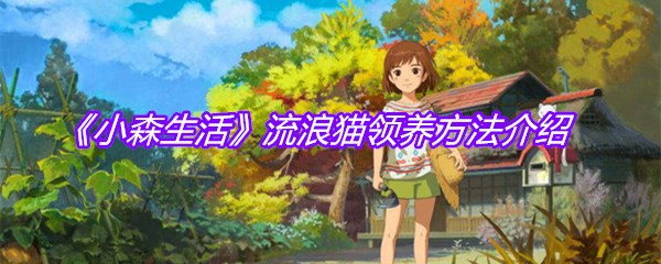 《小森生活》流浪猫领养方法介绍