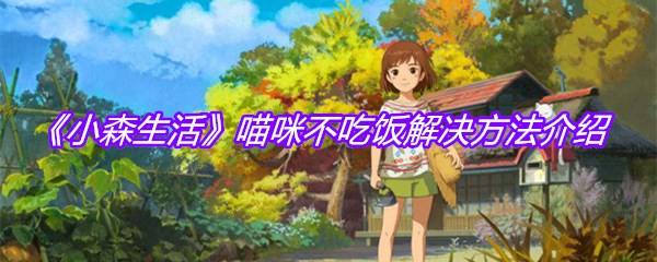 《小森生活》喵咪不吃饭解决方法介绍