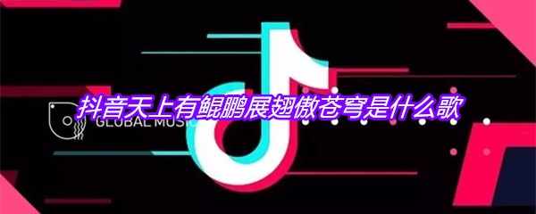 抖音天上有鲲鹏展翅傲苍穹是什么歌