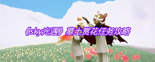 《sky光遇》墓土赏花任务攻略