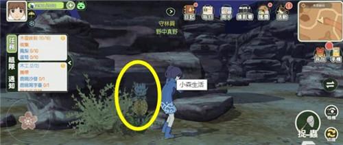 《小森生活》菠萝采集方法介绍