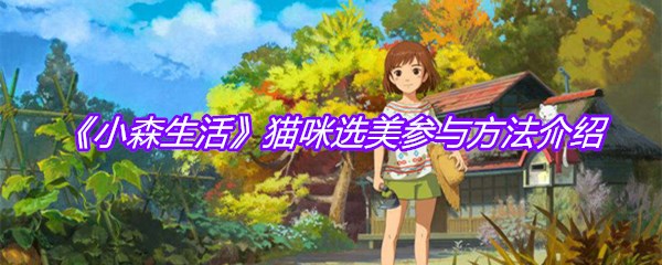 《小森生活》猫咪选美参与方法介绍