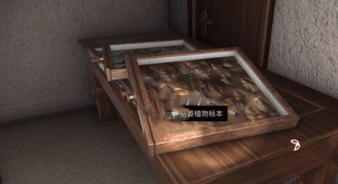 《孙美琪疑案12》三级线索枯萎植物标本位置分析