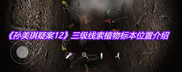 《孙美琪疑案12》三级线索植物标本位置介绍