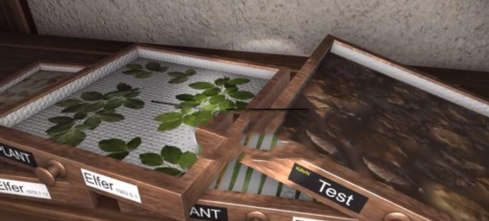 《孙美琪疑案12》三级线索植物标本位置介绍