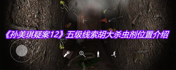 《孙美琪疑案12》五级线索胡大杀虫剂位置介绍