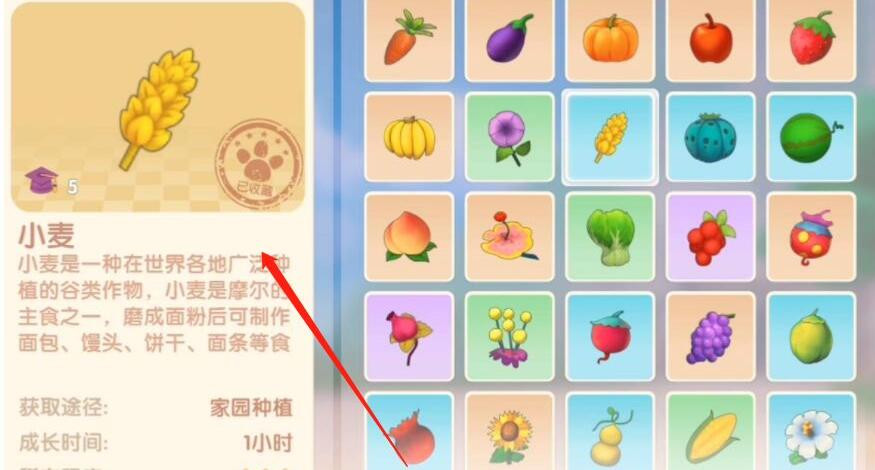 《摩尔庄园》浆果烧饼食谱