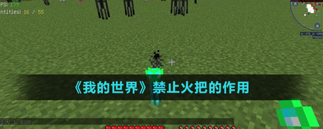 《我的世界》禁止火把作用介绍