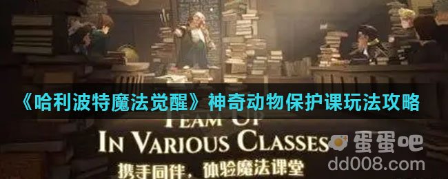 《哈利波特魔法觉醒》神奇动物保护课玩法攻略
