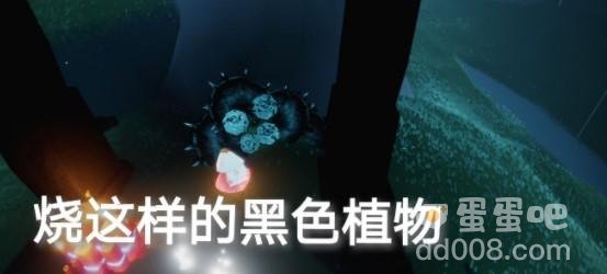 《光遇》10月8日常任务完成攻略分享