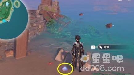 《原神》鹤观岛海螺位置分享