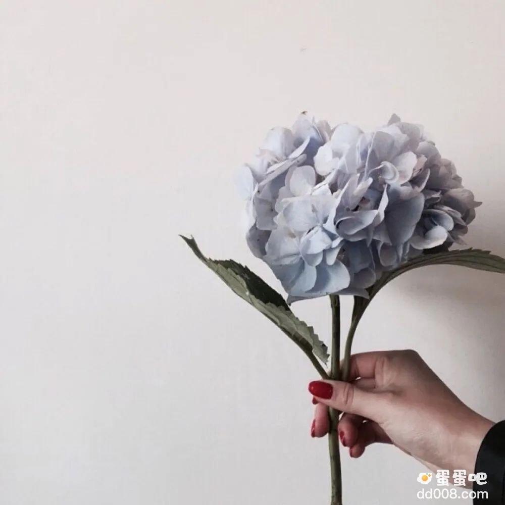 《抖音》干净治愈文案短句分享