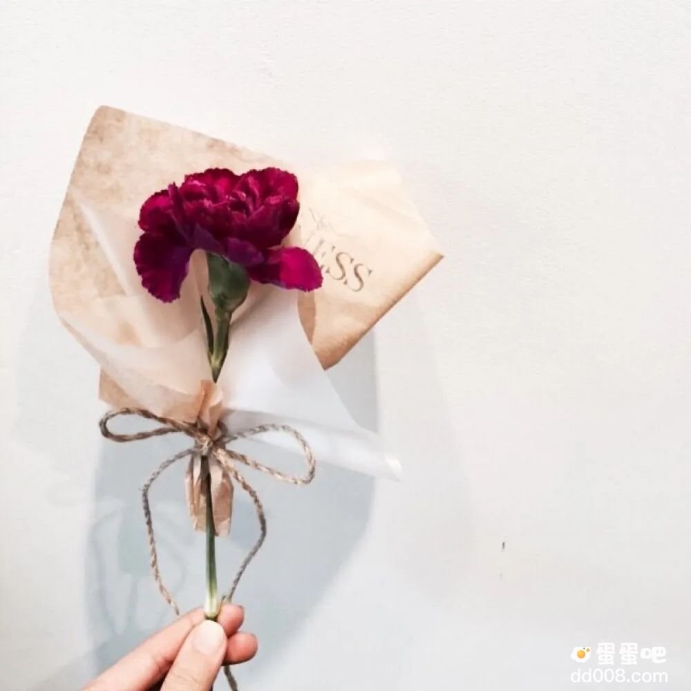 《抖音》干净治愈文案短句分享