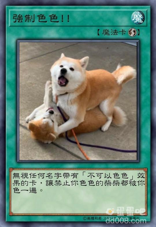 柴犬色色卡表情包大全
