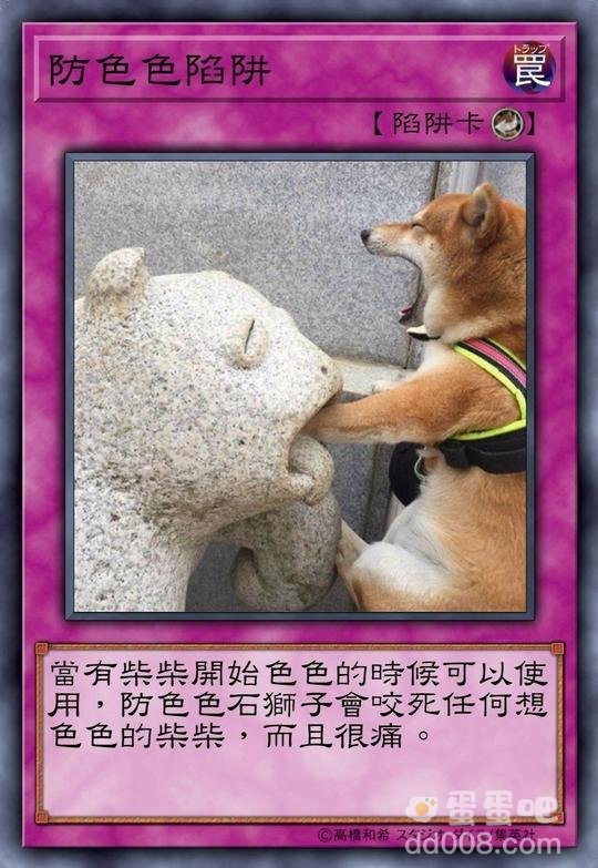 柴犬色色卡表情包大全