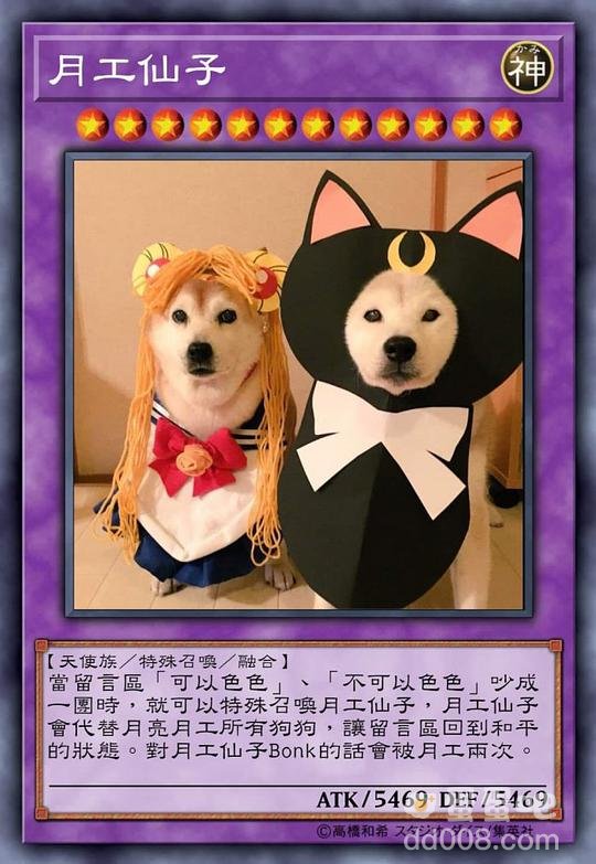 柴犬色色卡表情包大全