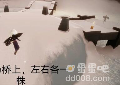 《光遇》2021年11月1日季节蜡烛位置分布分享