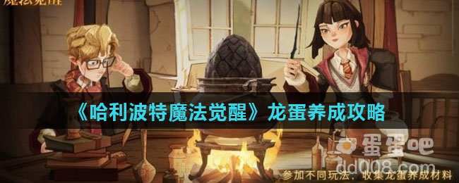 《哈利波特魔法觉醒》龙蛋养成攻略