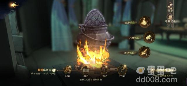 《哈利波特魔法觉醒》龙蛋养成攻略