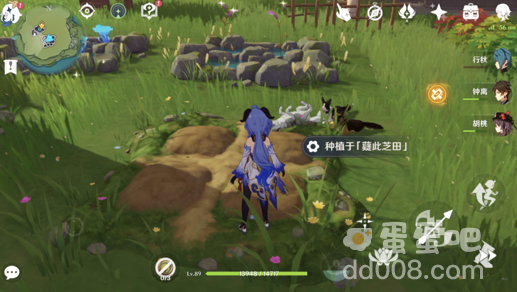 《原神》梦里生花活动种花方法介绍