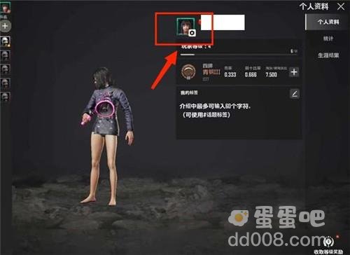 《绝地求生未来之役》改旗子方法介绍