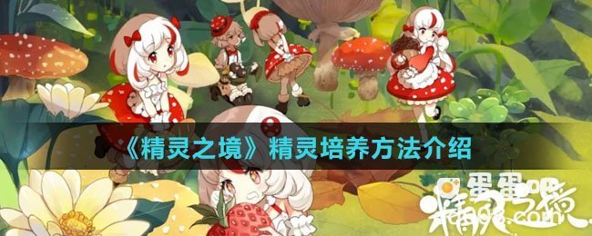 《精灵之境》精灵培养方法介绍