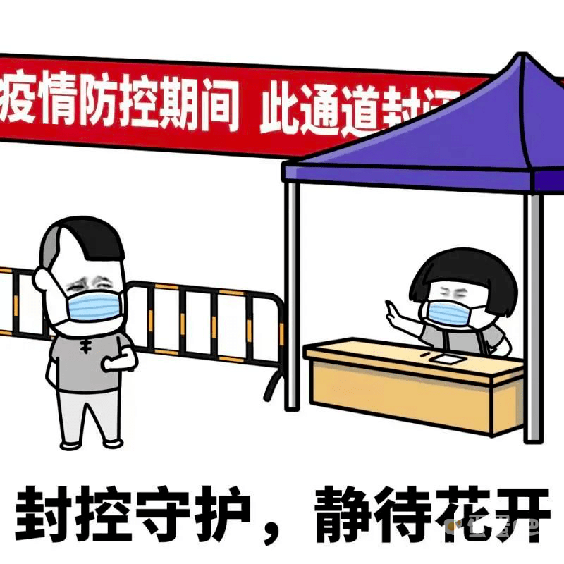 保住绿码表情包大全