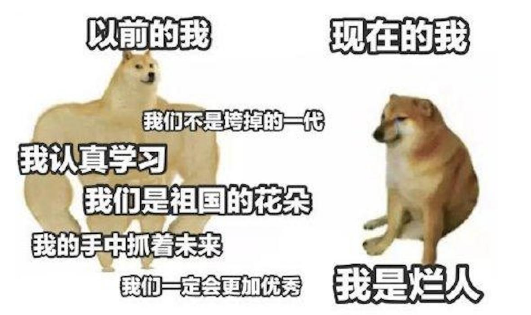 Cheems小废柴表情包大全