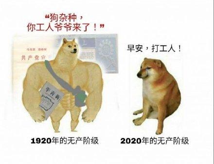Cheems小废柴表情包大全