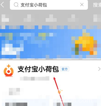 《支付宝》小荷包功能介绍